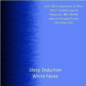   Induction  White Noise Brain Entrainment Session: Everything Else