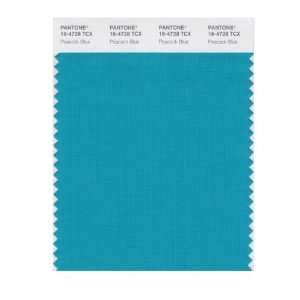   SMART 16 4728X Color Swatch Card, Peacock Blue: Home Improvement