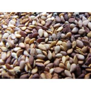  Afghani Sesame Seeds: Home & Kitchen