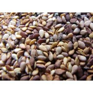  Afghani Sesame Seeds