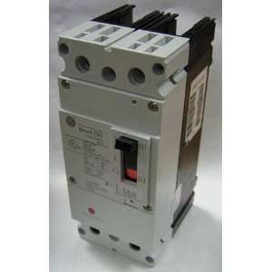   FBN26TE100R Circuit Breaker,FBN,600/347V,100A,2P: Home Improvement