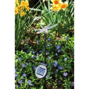  Solar power garden stake, dragonfly: Patio, Lawn & Garden