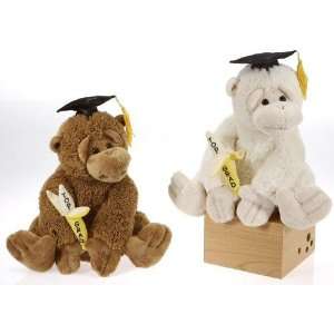   10 2 Assorted Color Graduation Monkeys Case Pack 12 