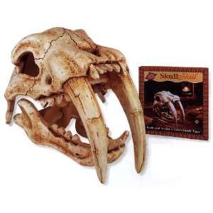 Vintage Safaris Sabre   Tooth Tiger Skull Skill Sculpting Kit:  