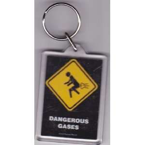  Dangerous Gases Plastic Key Chain / Keychain Everything 