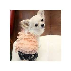   Cake Designed Skirt for Cute Dogs Clothing Size Large: Pet Supplies