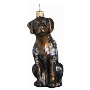  Blown Glass German Shorthaired Pointer Ornament: Home 