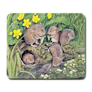  water voles Mousepad Mouse Pad Mouse Mat: Office Products