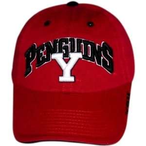  Youngstown State Penguins Fratboy Hat: Sports & Outdoors