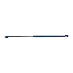  Strong Arm 4738 Hatch Lift Support: Automotive