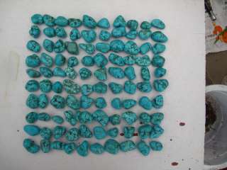 100 VAIN GREEN polished Turquoise Rough NuggeT 1.78lb  