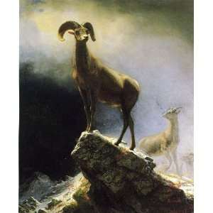   paintings   Albert Bierstadt   24 x 30 inches   Rocky Mountain Sheep