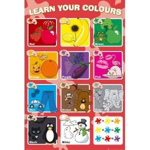   Posters Educational   Colours   35.7x23.8 inches