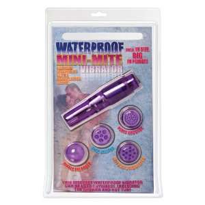   Mini Vibrator, Purple, ,: Pipedreams: Health & Personal Care