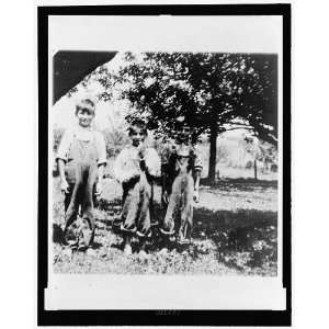  The McCarthy boys,Joseph,farm,Grand Chute,WI,1954