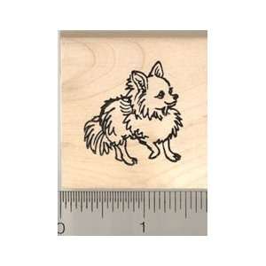  Long Haired Chihuahua Rubber Stamp   Wood Mounted: Arts 
