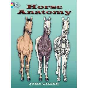  Horse Anatomy Coloring Book: Toys & Games