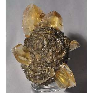   Selenite Natural Crystal Specimen   Winnepeg, Canada