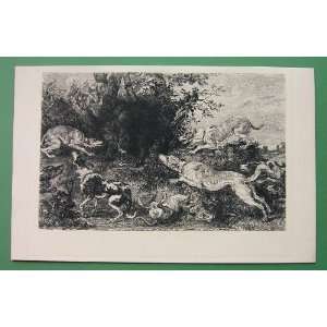   ORIGINAL ETCHING Antique Print   Wild Boar Hunt Dogs: Everything Else