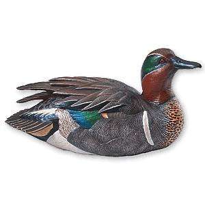  Miniature Green winged Teal