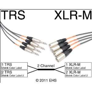  Horizon VFlex 2 Channel TRS 1/4 to XLR M snake 
