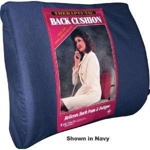 Lumbar Cushion w/Strap & Board Black (Catalog Category Back & Neck 