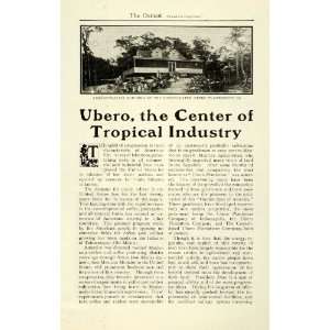 com 1902 Article Ubero Mexico Agricultural Plantations Coffee Farming 