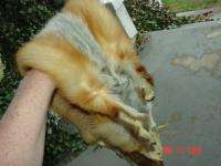 Red fox pelt tanned/dressed wild fur/hide/skin~Nice!!  