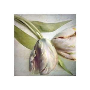  Two Parrot Tulips by Sally Wetherby, 35x35