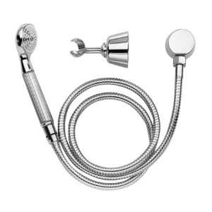  WALL MOUNTED HAND SHOWER KIT: Home Improvement