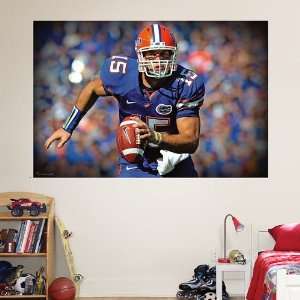  NFL Tim Tebow Florida Mural Vinyl Wall Graphic Decal 