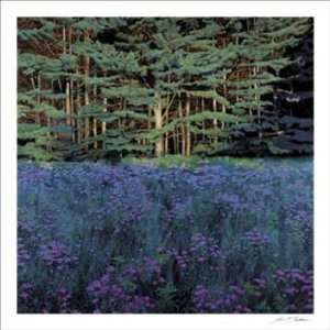   Shadowed Meadow, Sunlit Pines by Jon Friedman 39x39