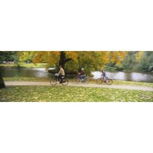 People Riding Bicycles in a Park, Vondelpark, Amsterdam, Netherlands 