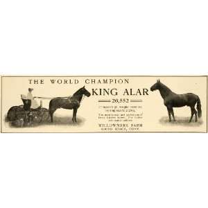  1906 Ad Willowmere Farm King Alar World Champion Horse 