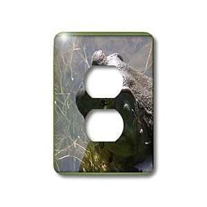  Beverly Turner Photography   Crying Frog   Light Switch 