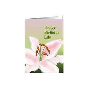  Birthday, For Lily, Sketch of a stargazer lily Card 