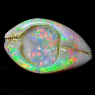 EXCEPTIONAL 86.20ct COOBER PEDY FOSSILIZED OPAL CLAM  