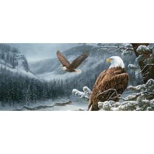  VantagePoint 020232X Birds Eagle Rear Window Graphic 