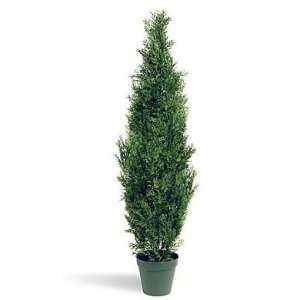   National Tree LMC 700 60 60 in. Faux Arborvitae Tree: Home & Kitchen