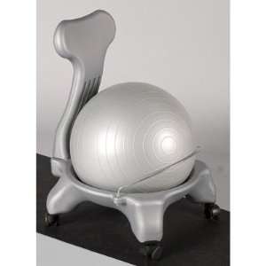  Exercise Balance Ball Chair: Sports & Outdoors