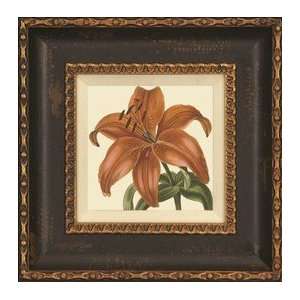  Day Lily, Artist Unknown