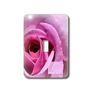 com Patricia Sanders Flowers   Love Pink Rose Romantic Flower Flower 
