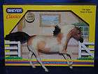 Breyer~Classic​~Buckskin Pinto Andalusian Stallion w box