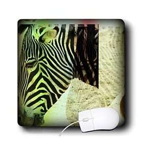   Sanders Creations   Zebra Face  Animals  Nature Abstract   Mouse Pads