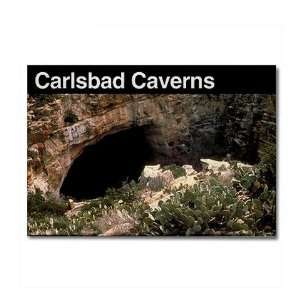  Carlsbad Caverns NP Travel Rectangle Magnet by  