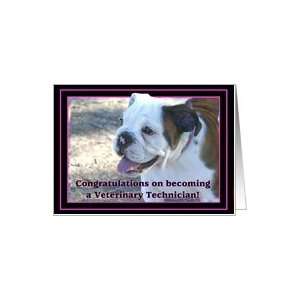  Congratulations Veterinary Technician Bulldog Puppy Card 