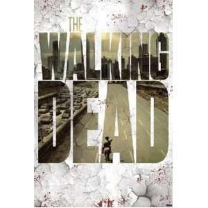 Walking Dead Zombie Apocalypse TV Poster 24 x 36 inches