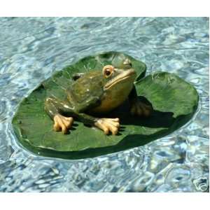    Green Frog on Lily Pad FLoats in pool or pond: Home & Kitchen