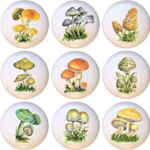  Vintage look Mushrooms Retro Drawer Pulls Knobs Set of 9 