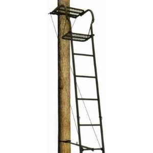  Big Dog Hound Dog Ladder Treestand: Sports & Outdoors